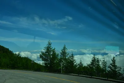 DSC_3662 (Large).JPG